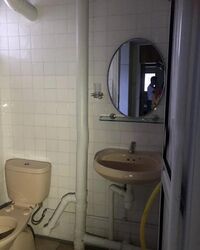 Blk 233 Kebun Baru Palm View (Ang Mo Kio), HDB 3 Rooms #499003171